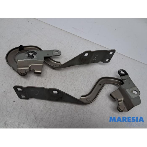 Renault - Espace - Bonnet Hinge