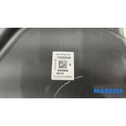Renault - Captur - Tank