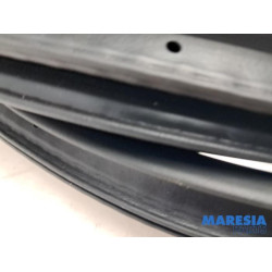 Renault - Captur - Front door seal 4-door, right