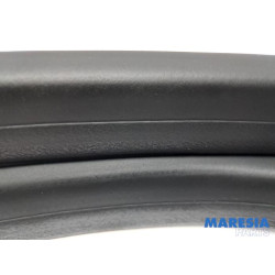 Renault - Captur - Front door seal 4-door, right