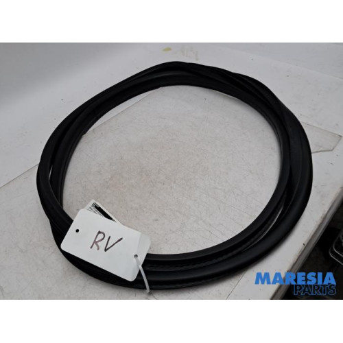 Renault - Captur - Front door seal 4-door, right