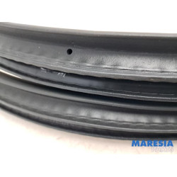 Renault - Captur - Rear door seal 4-door, left