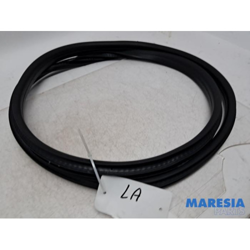 Renault - Captur - Rear door seal 4-door, left