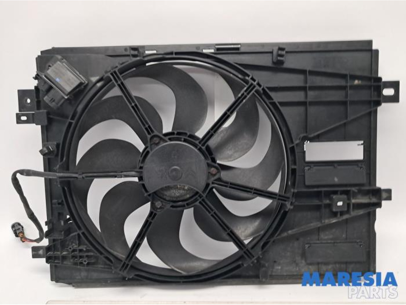 Citroen - Berlingo - Kühlgebläse Motor