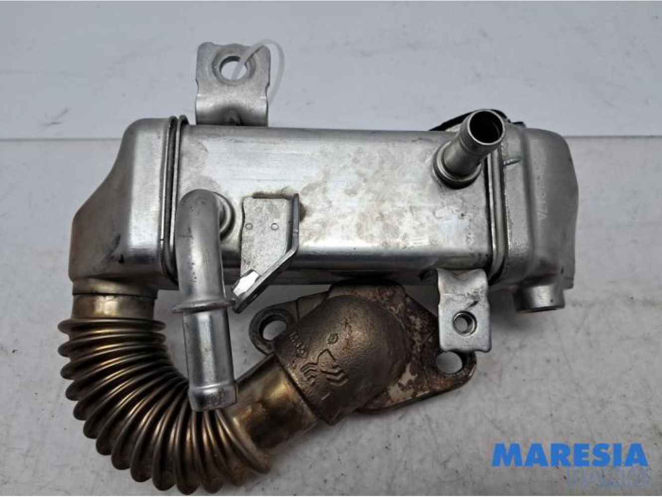 Renault - Trafic - EGR koeler
