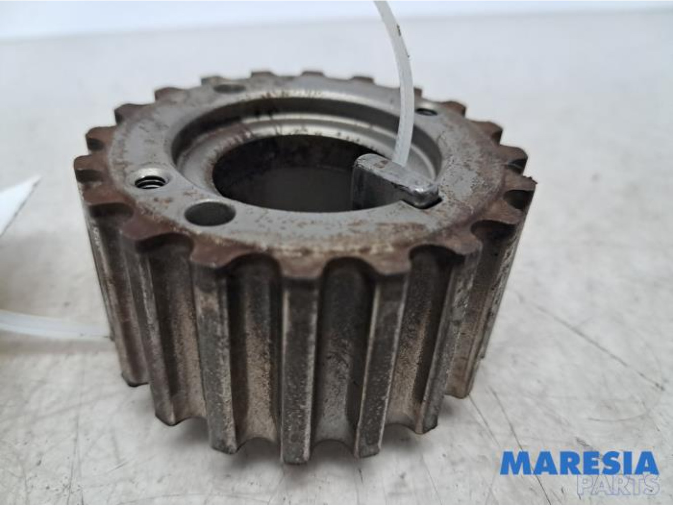 Renault - Kangoo - Crankshaft sprocket