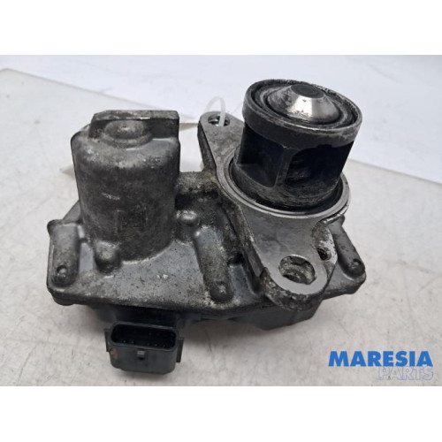 Renault - Trafic - Valve RGE