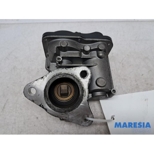 Renault - Clio - EGR Klep