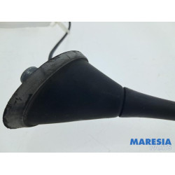 Fiat - 500 - Antenne