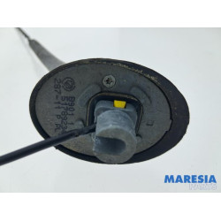 Fiat - 500 - Antenne