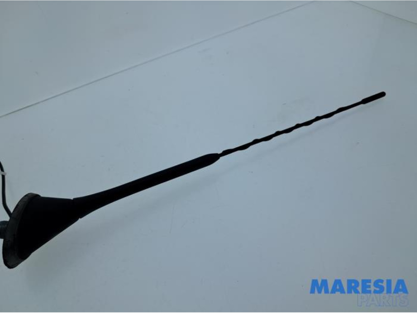 Fiat - 500 - Antenne