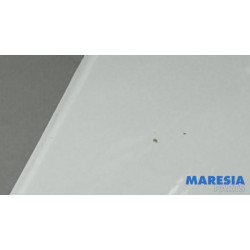 Fiat - Talento - Front wing, left