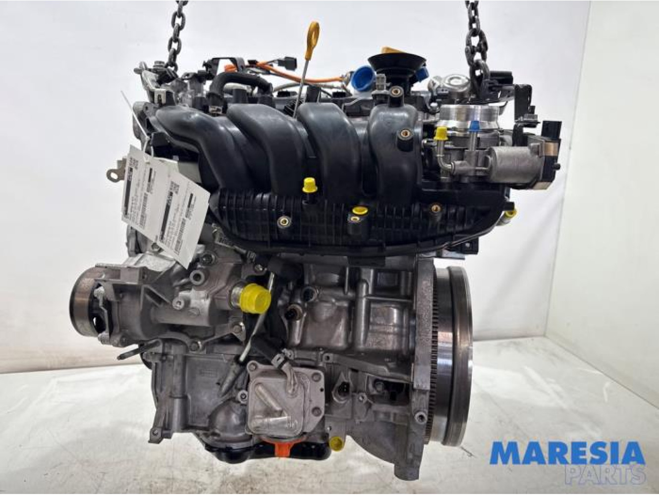 Renault - Megane - Motor