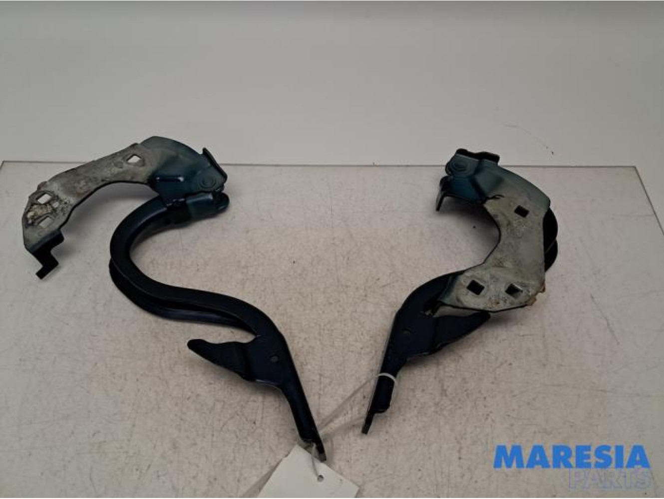 Fiat - 500 - Bonnet Hinge