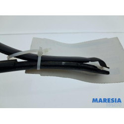 Peugeot - 107 - Dachgummi links