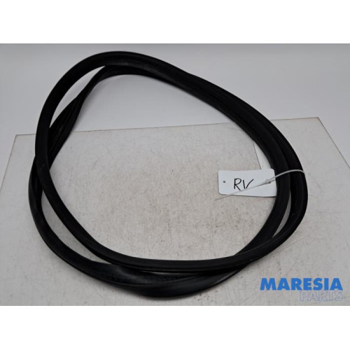 Peugeot - 107 - Front door seal 4-door, right