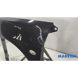 Peugeot - 307 - Scherm links-voor