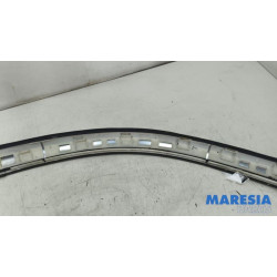 Peugeot - RCZ - Roof strip, left