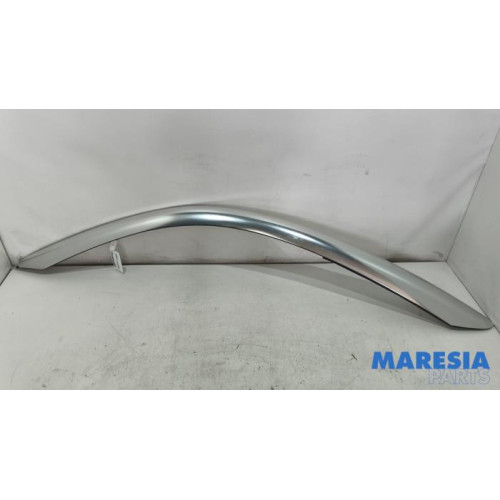 Peugeot - RCZ - Dachleiste links