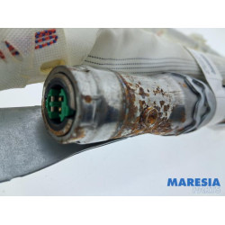 Renault - Megane - Airbag hemel links