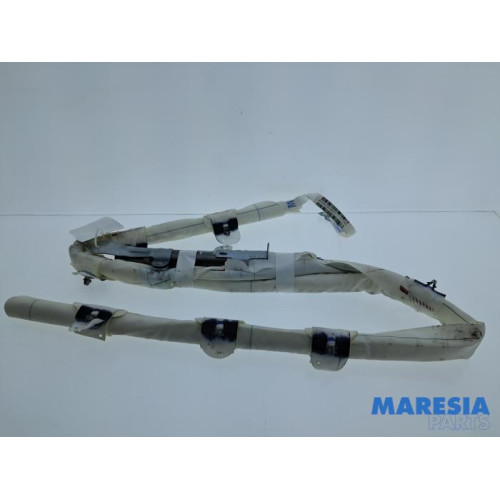 Renault - Megane - Airbag hemel links