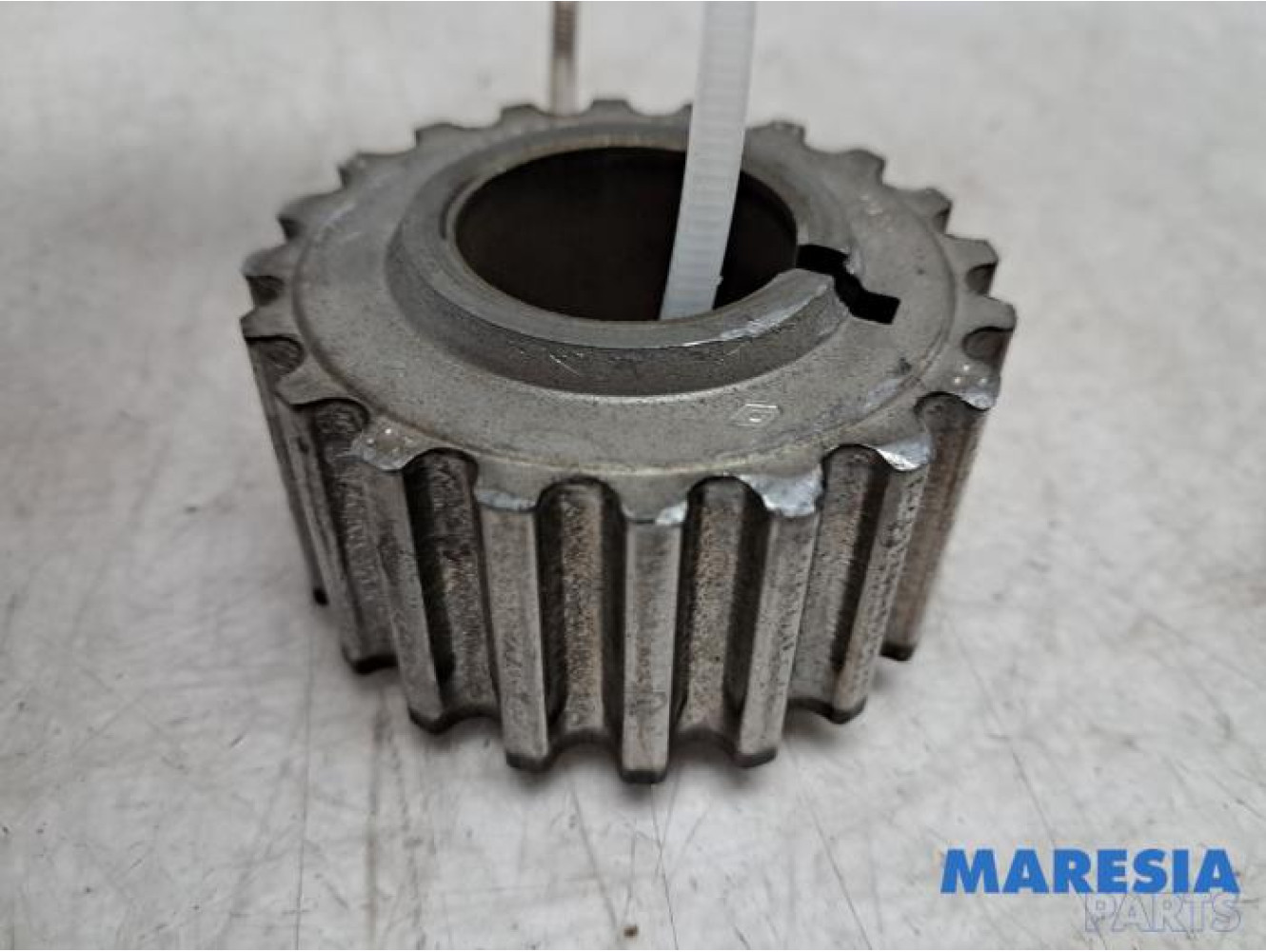 Renault - Kangoo - Crankshaft sprocket