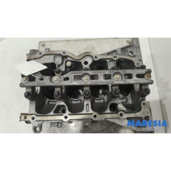 Renault - Captur - Motor Unterblock