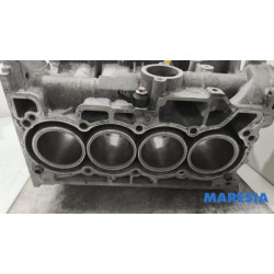 Renault - Captur - Motor Unterblock