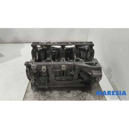 Renault - Captur - Motor Unterblock