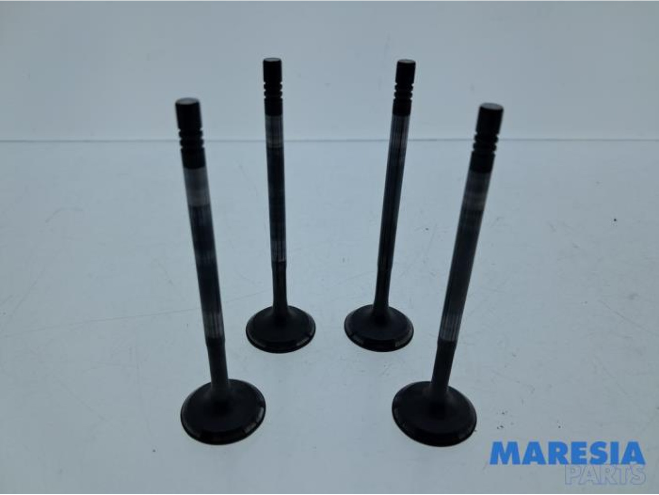 Renault - Captur - Exhaust valve