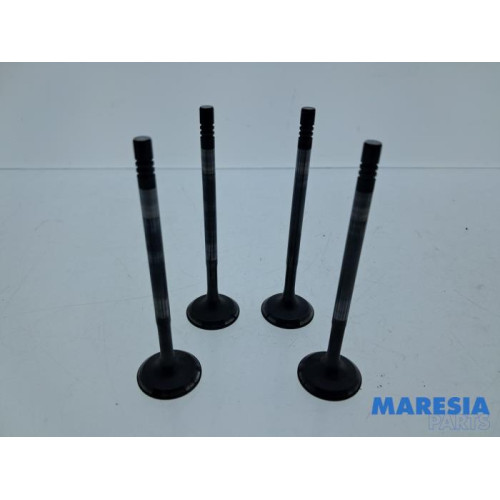 Renault - Captur - Exhaust valve
