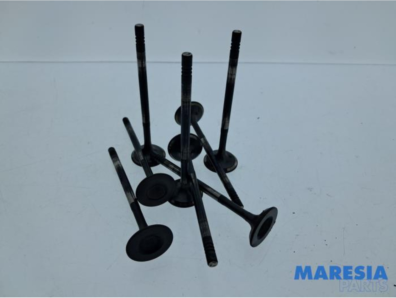 Renault - Captur - Induction valve