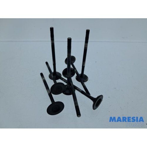 Renault - Captur - Induction valve