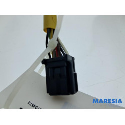 Renault - Captur - Wing mirror, right