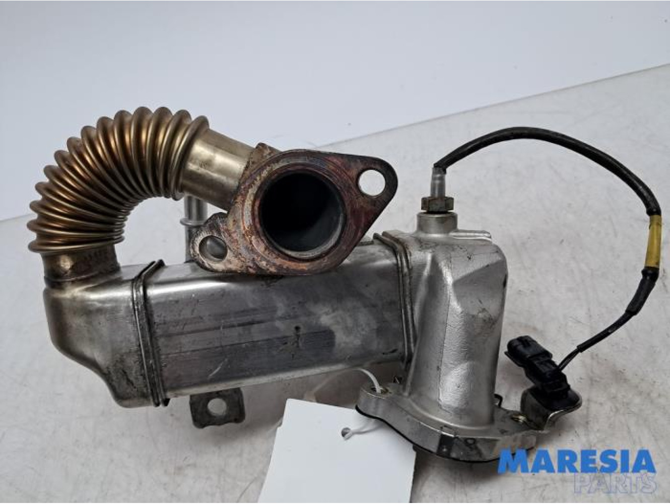 Renault - Trafic - EGR koeler