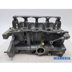Renault - Captur - Motor Unterblock