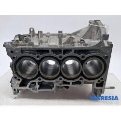 Renault - Captur - Motor Unterblock