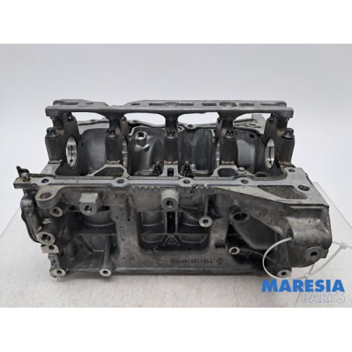 Renault - Captur - Motor Unterblock