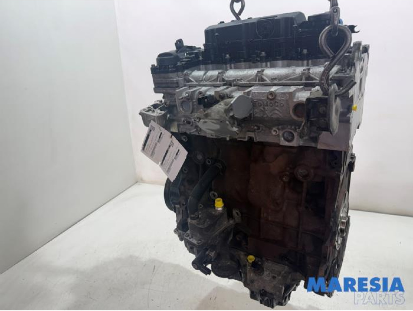 Opel - Vivaro - Motor