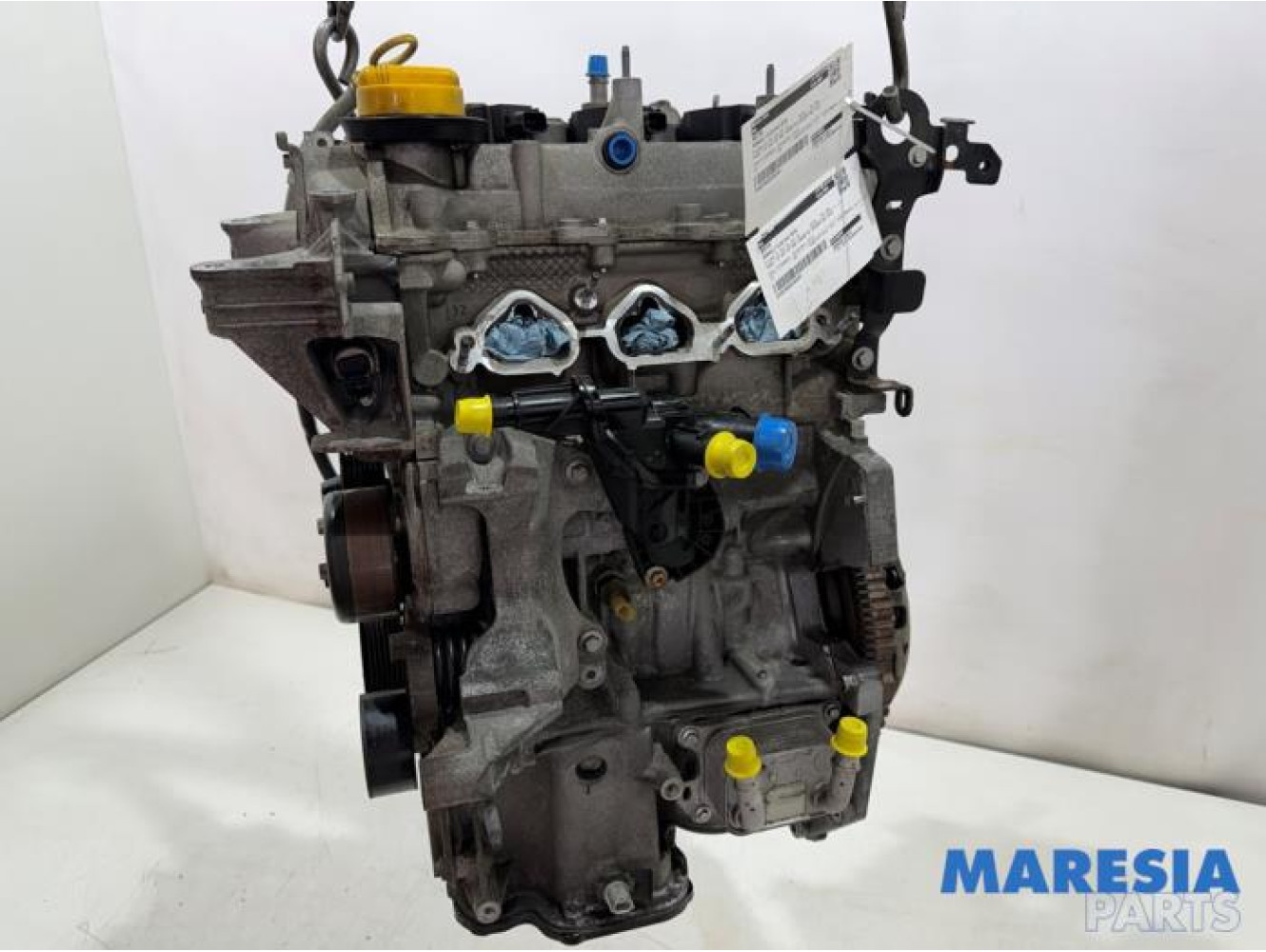 Renault - Clio - Motor