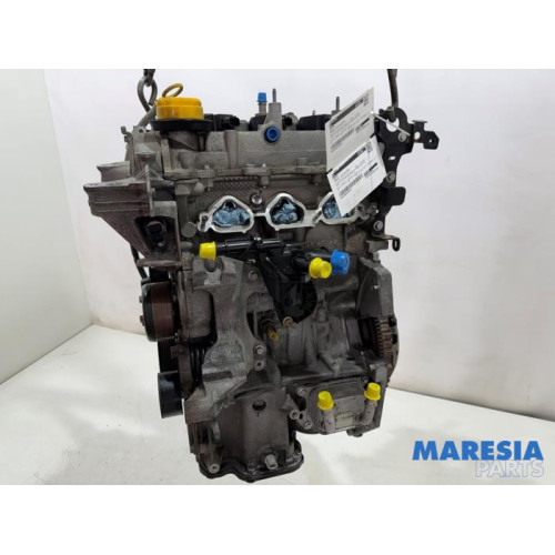 Renault - Clio - Motor