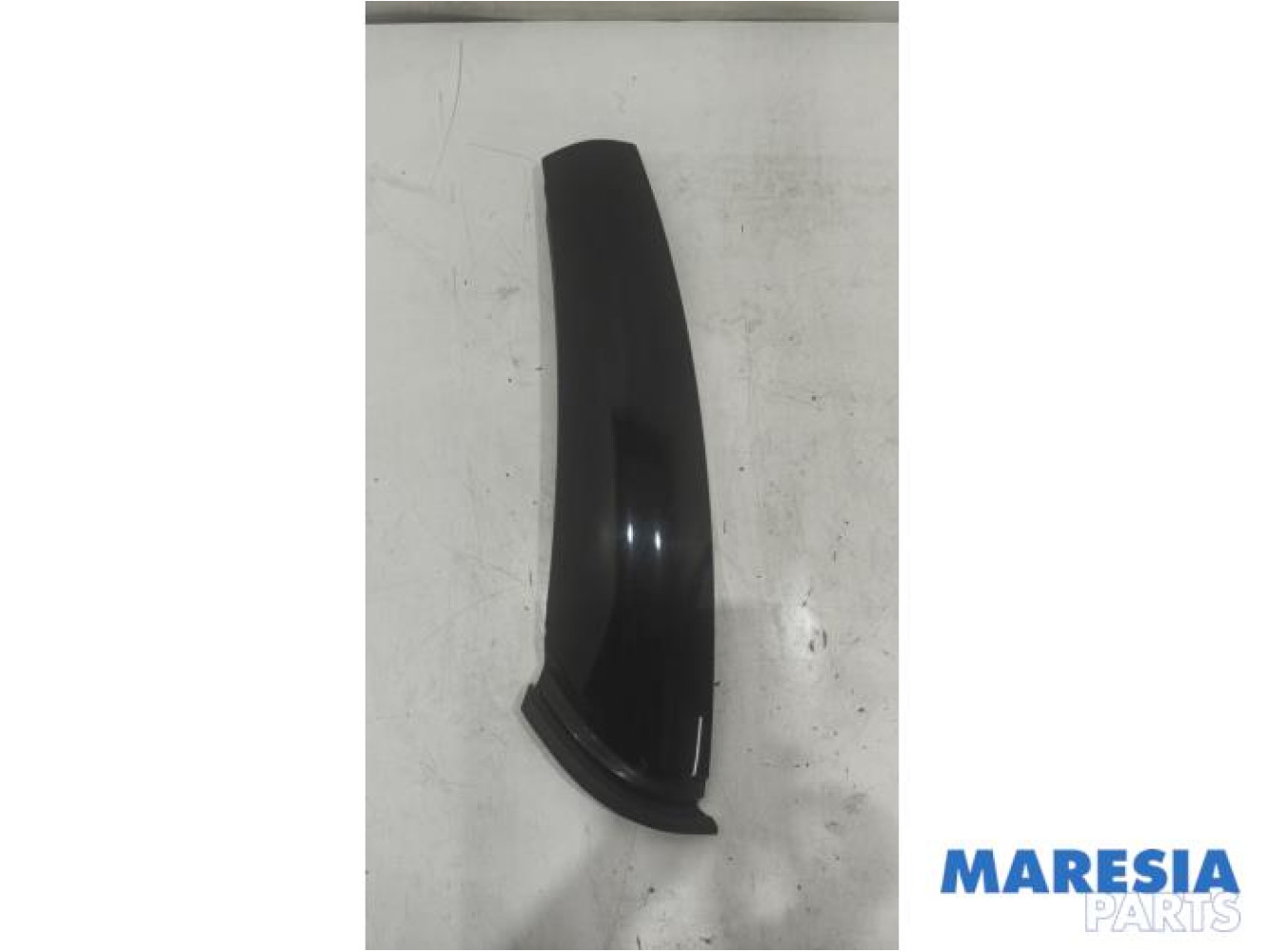 Renault - Megane - C-style protection gauche