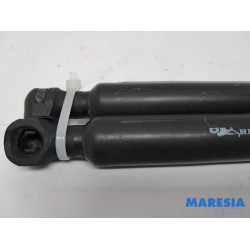 Renault - Captur - Set of tailgate gas struts