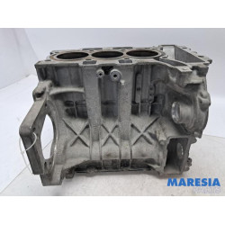 Citroen - C3 - Motor Unterblock