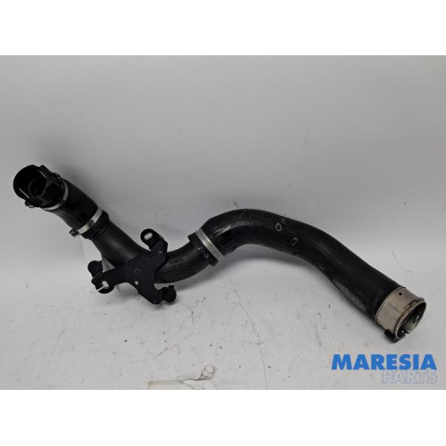 Renault - Clio - Intercooler hose