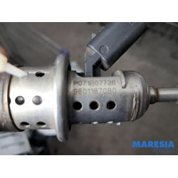 Opel - Vivaro - Adblue Injector