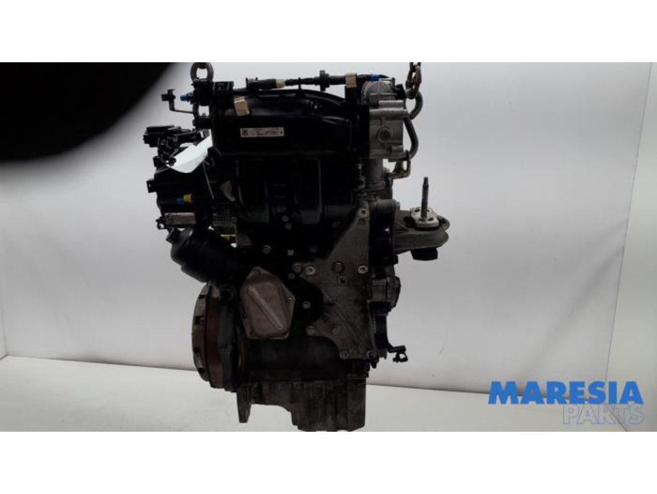 Fiat - 500 - Engine