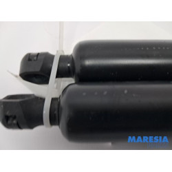 Opel - Vivaro - Set of tailgate gas struts