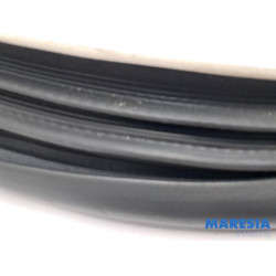 Renault - Espace - Front door seal 4-door, right