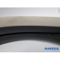 Renault - Espace - Front door seal 4-door, right
